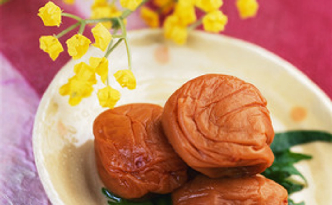 紀州特産！南高梅はちみつ梅干をプレゼント