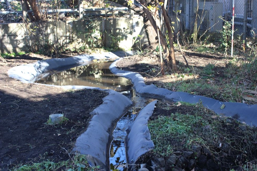 人工湿地の完成！！