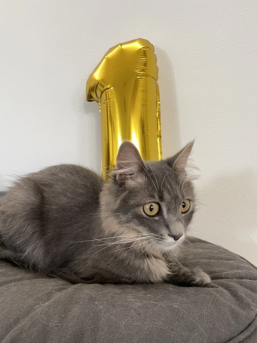 残り3日！！達成率49%