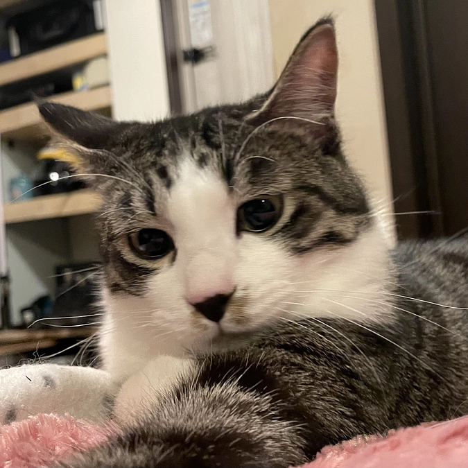 一歳になりました。