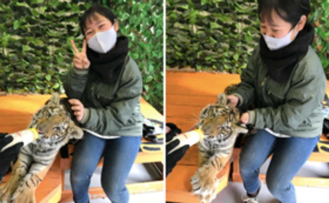 B｜しろとり動物園を満喫！コース