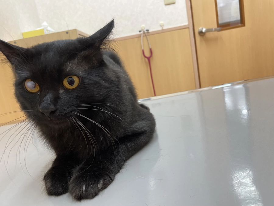 リターン品遅延のお知らせ(10月31日発送完了予定)