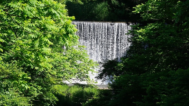 川岸までの歩道を整備して体験活動に活用できる憩いの場所を作りたい。