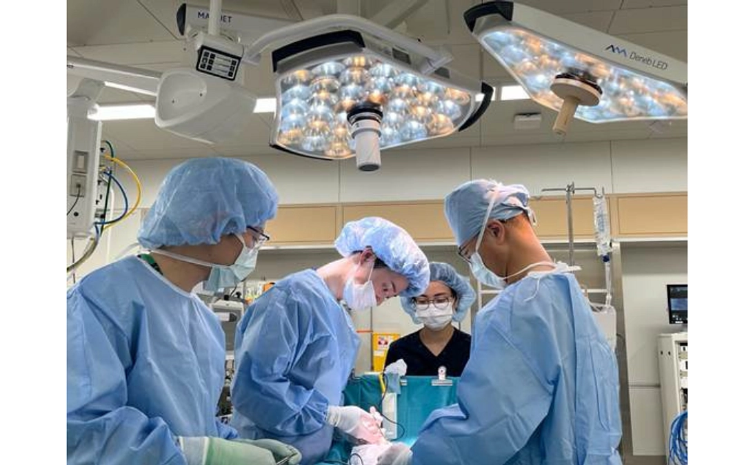 【各科からのメッセージ】形成外科より