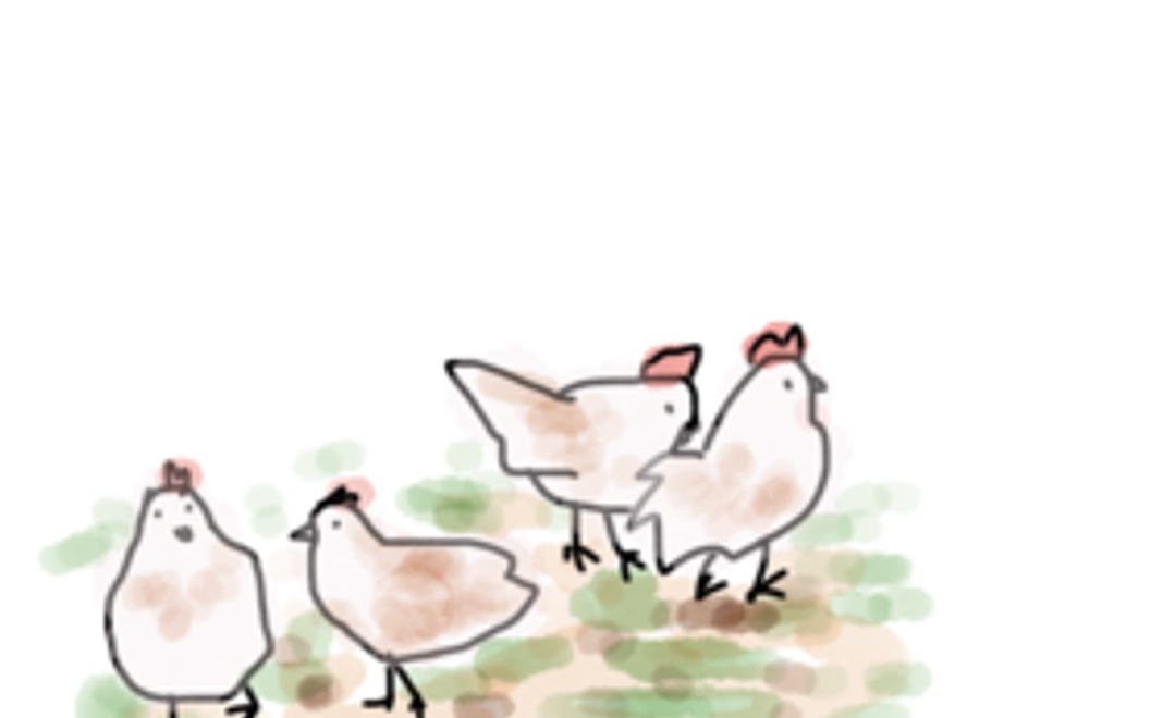 活動報告をお送りします①