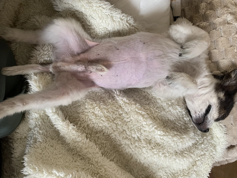 咳少なくなってきました！