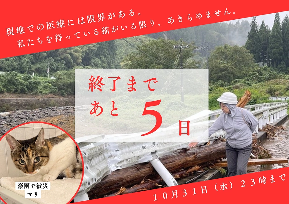 悲劇を乗り越えて～家族ができたよ