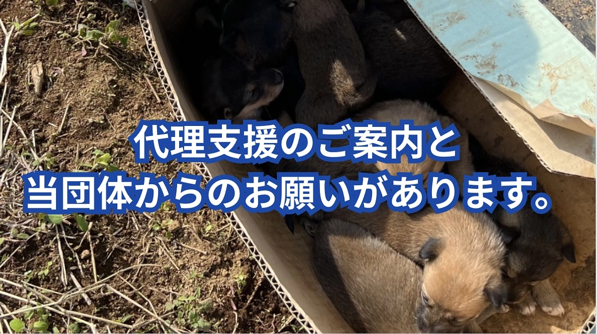 初日のご報告とTSUNAGUよりご案内とお願いがございます。