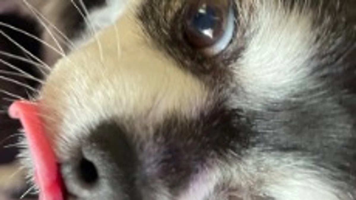 本日インスタライブします