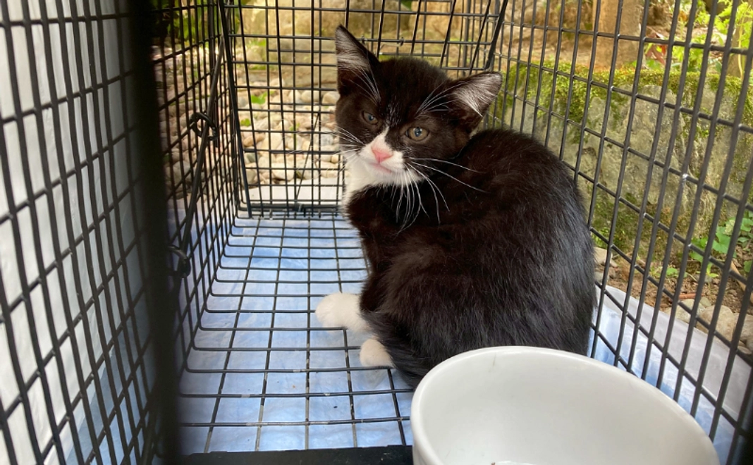 お気持ち支援｜3,000円