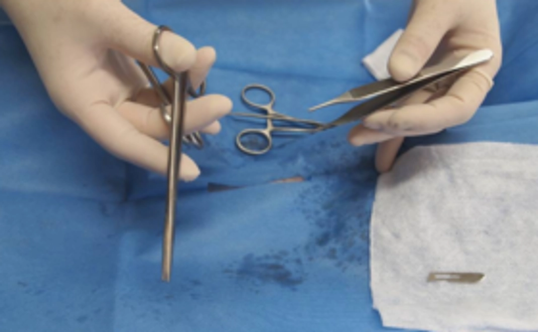 当院で猫ちゃんの手術が受けられる権利