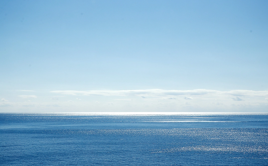 【全力応援！】当日の写真付き！お礼のメール