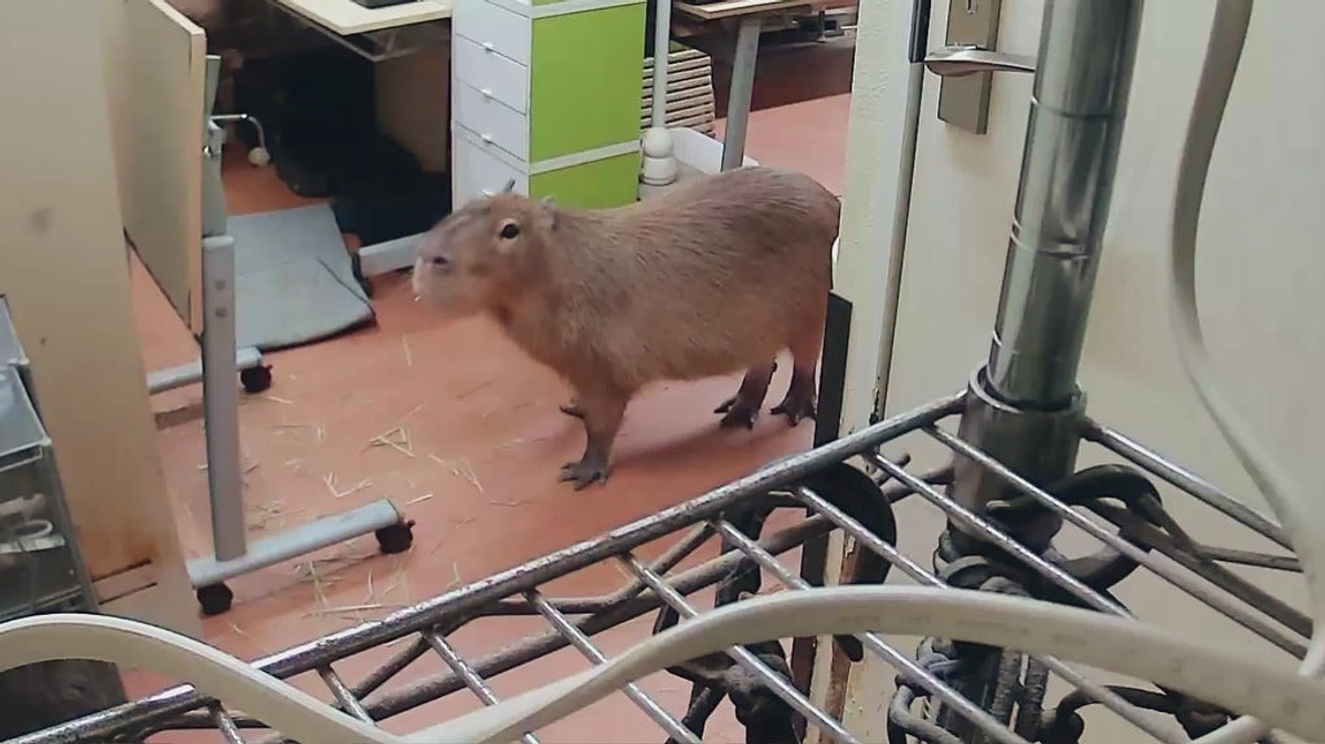 Our crowdfunding will be over in about two weeks.