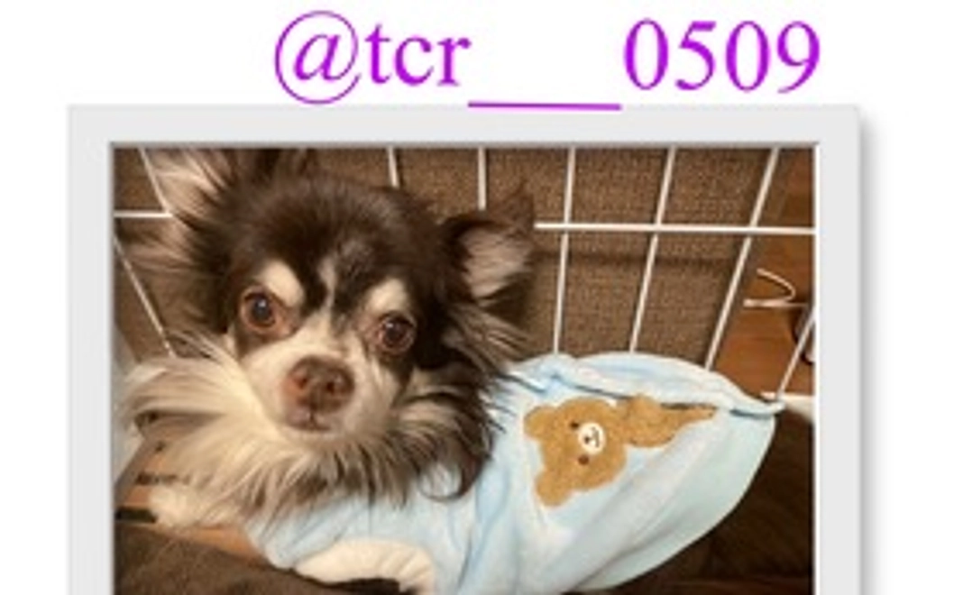 チョコ　7 (TwitterのDMでのメッセージ)