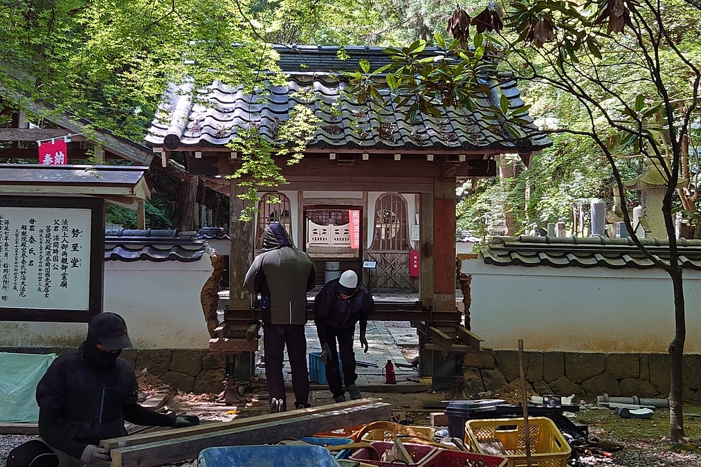 勢至堂の工事が始まりました