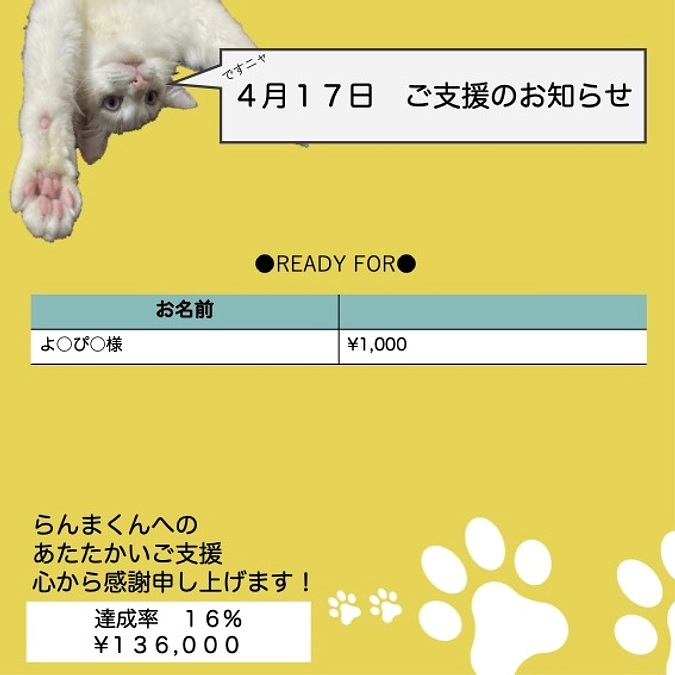 投薬３６日目(2023.4.17)&ご支援のお知らせ