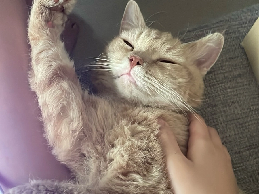 現在7名の方からご支援を頂くことができました