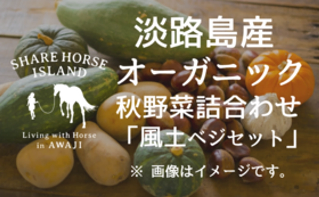 【10組限定】島のオーガニック秋野菜詰合わせ「風土ベジセット」
