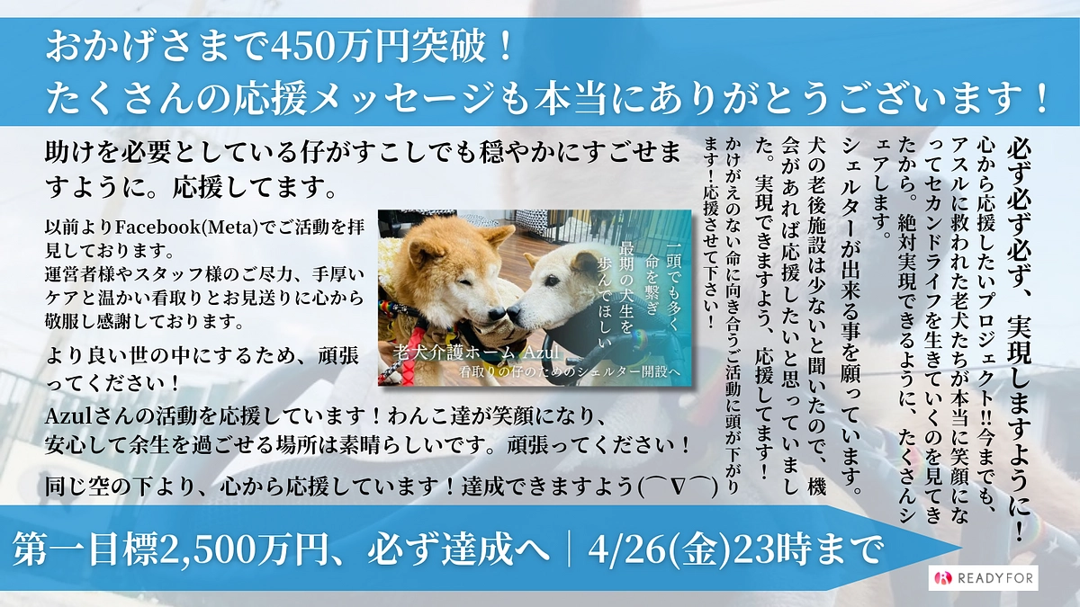 皆様の一人一人のご協力が力になります！#福岡老犬介護ホームアスル  #老犬の看取りシェルター開設へ