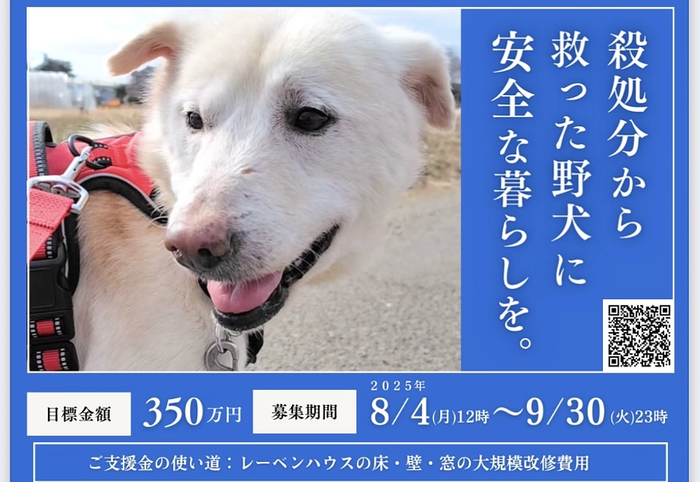 8月4日（月）12時から2025年のクラウドファンディングに挑戦します！