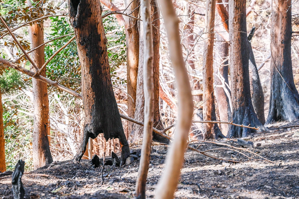 3月16日 明らかになっていく被害の全容。被災者それぞれの想い