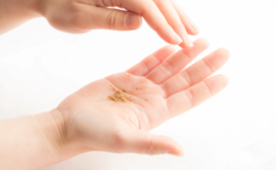 お試しお香コース