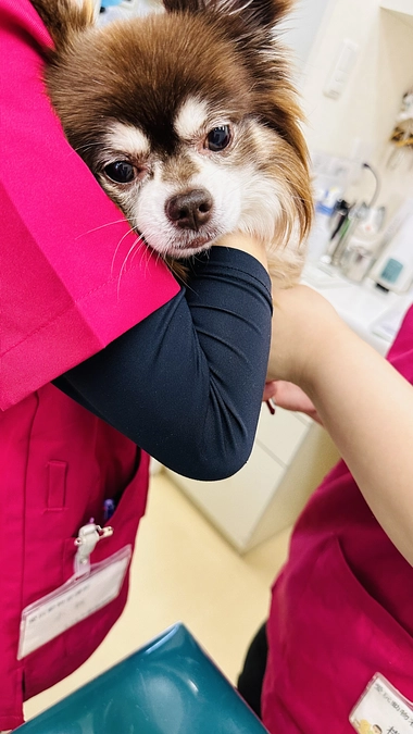 今日は病院で。。。