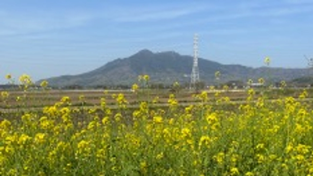 二十四節気　晴明(せいめい)、七十二候　虹始見(にじはじめてあらわる)