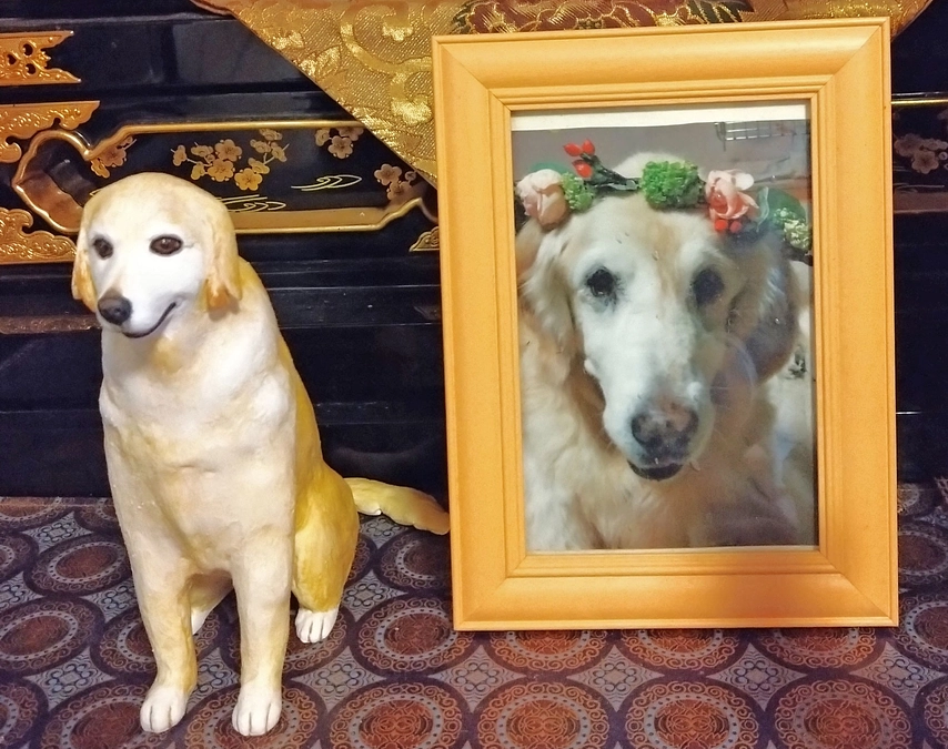 1000匹の絆プロジェクトのかなめ、犬猫モニュメント