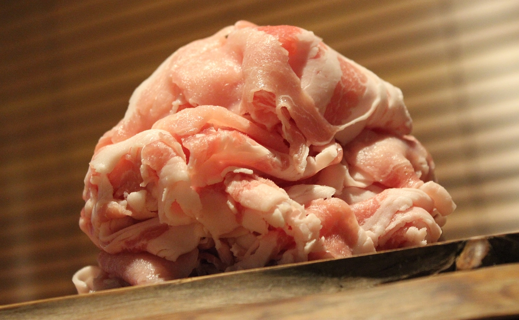 長崎県 プレミアムポーク 秘宝 西海の豚 小間肉 1kg(500g×2パック)