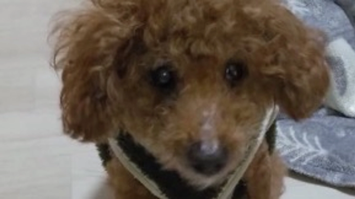 あと3日となりました