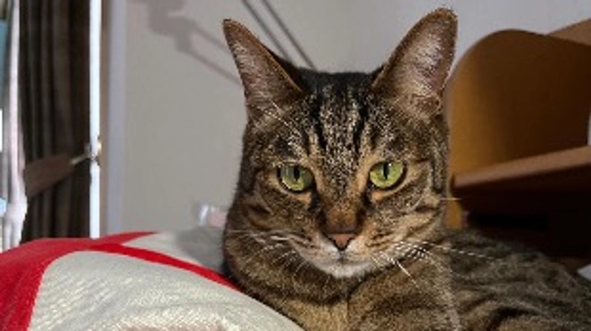 【今日のなっちゃん】6月13日