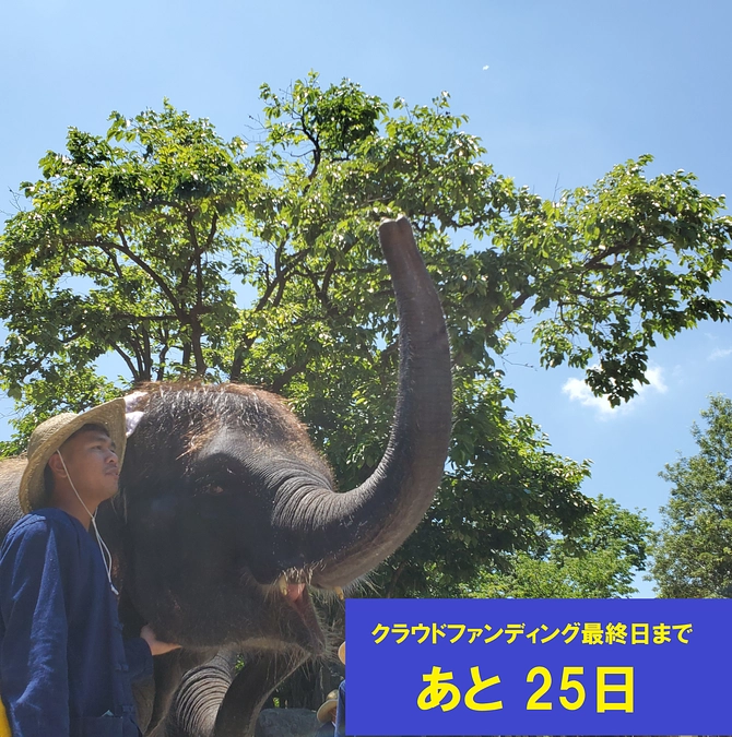 あと25日☆頑張ります！