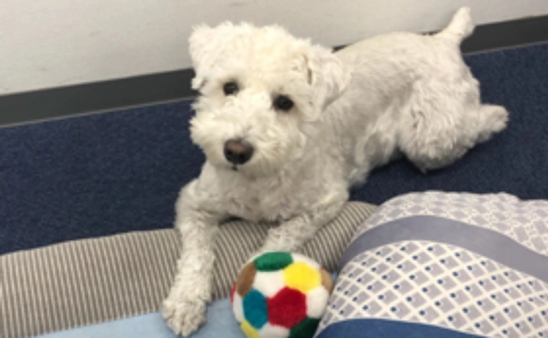 【全力応援コース】山本展央 シルバーサポーター!