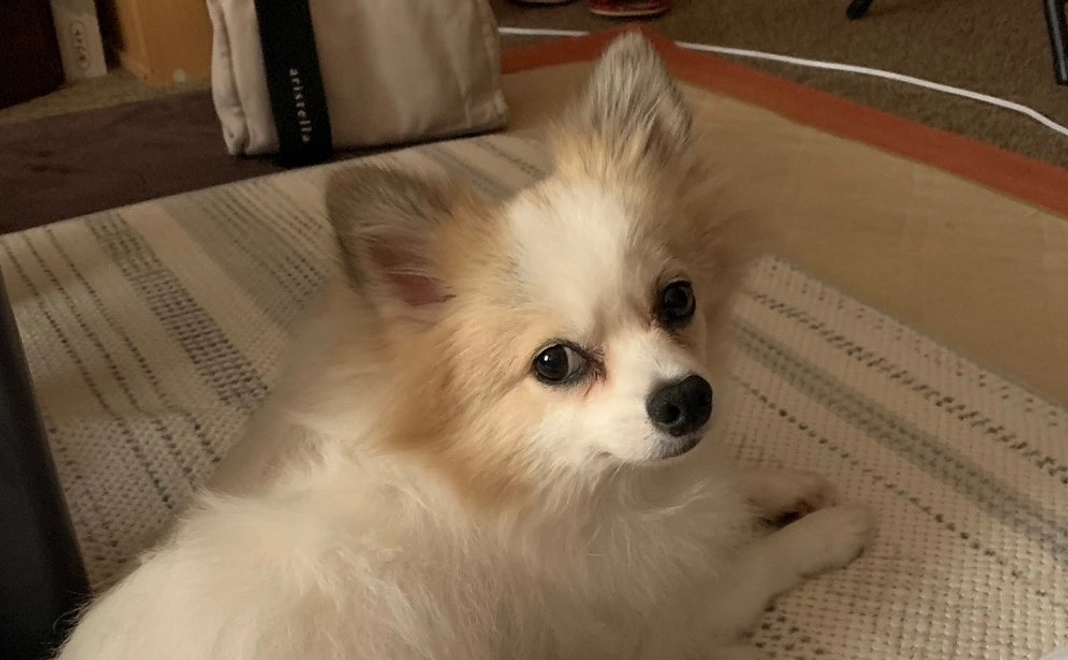 感謝のメール11