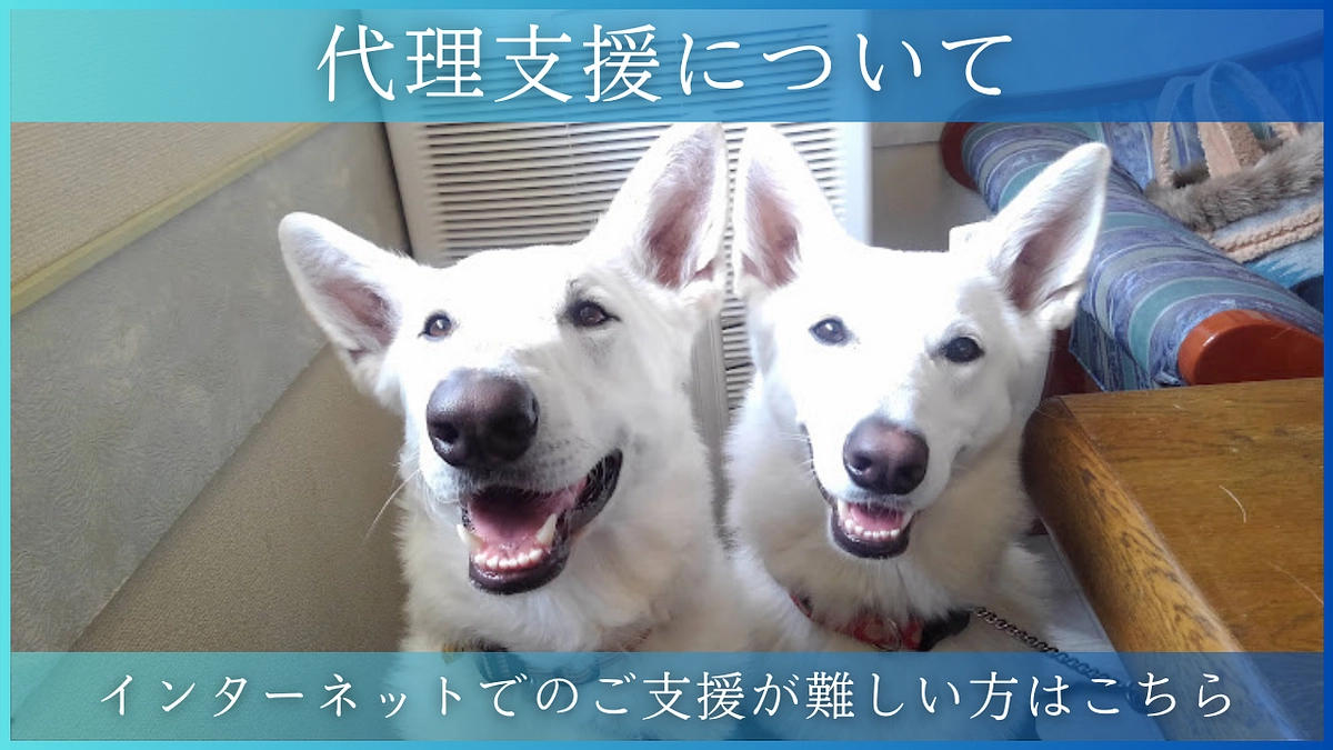 代理支援について