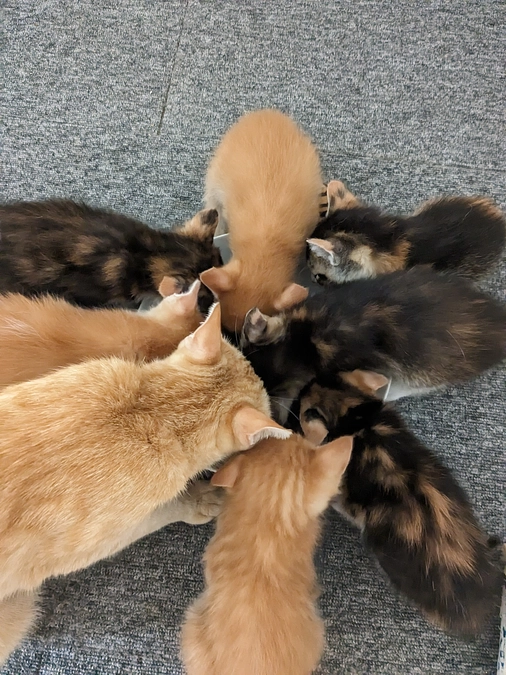 誰にも負けない！