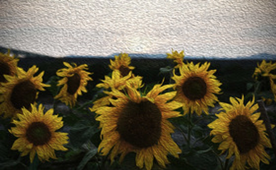 【完成した写真集をお届けします】