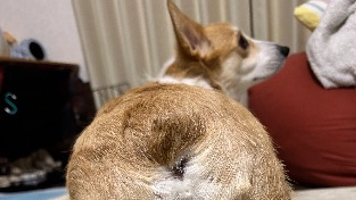 2024年12月7日 & 14日