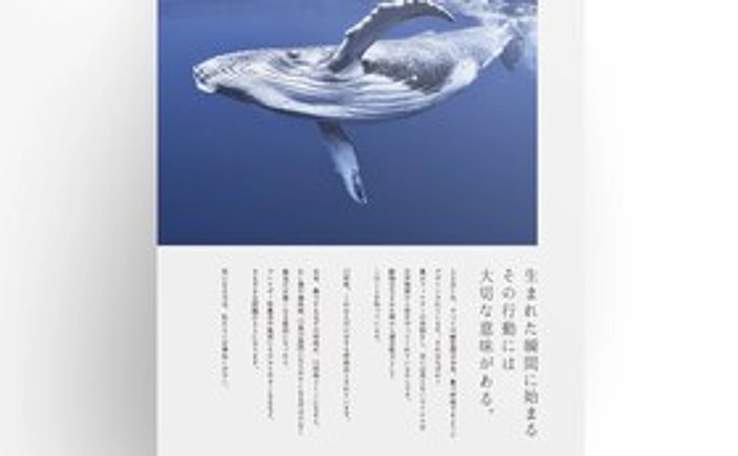 ZUTTO ポスター（B2）