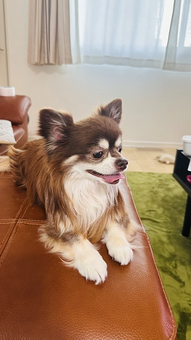 今日は嬉しそう。。。