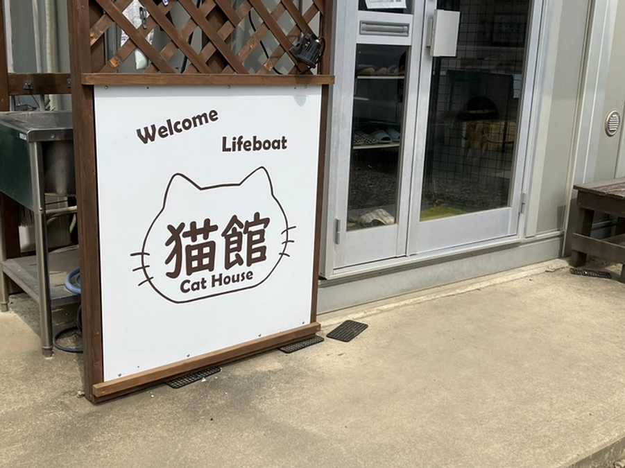 猫館2Ｆの猫たちを一挙掲載！（写真たくさん）