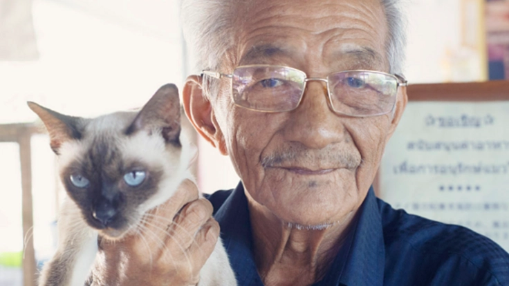 タイバンコク発　稀少シャム猫と猫の家の75年の歴史を守りたい。