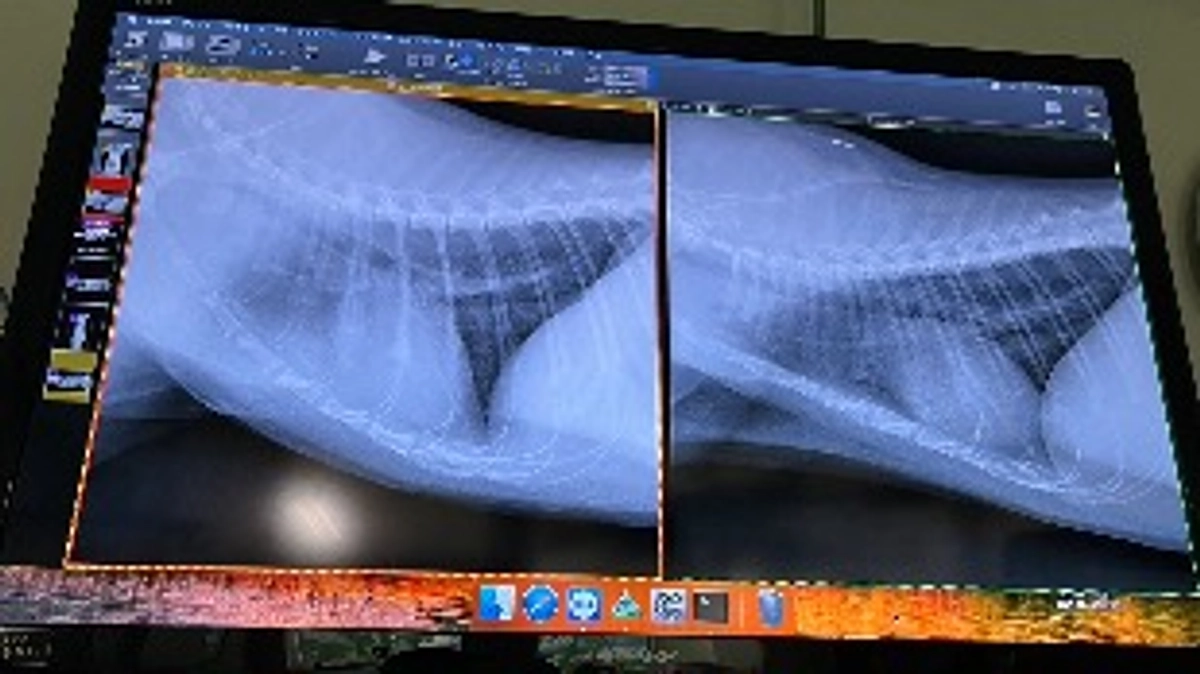 前回の結果が気になるので、再び病院へ