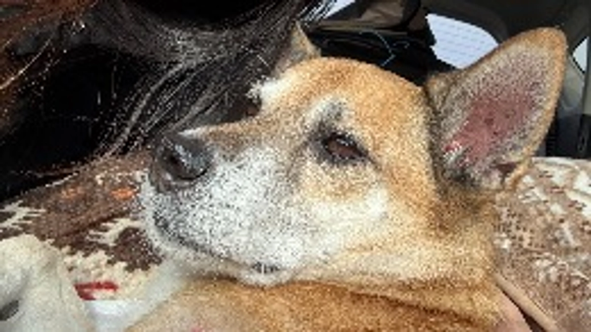 12/20 ☢️放射線治療15回目☢️❤️‍🔥最終日❤️‍🔥