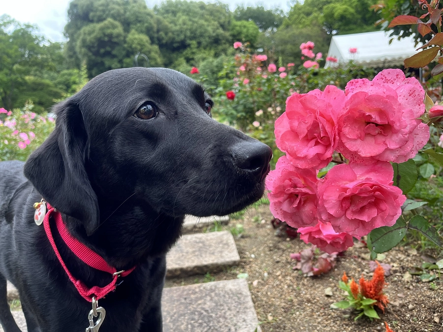 ★リターン紹介　その２