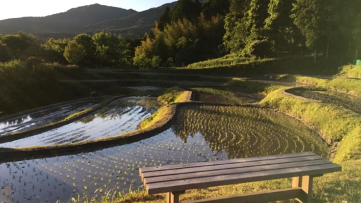 貴重な「クレイシ棚田」を、継続して保存運営される観光資源へ！