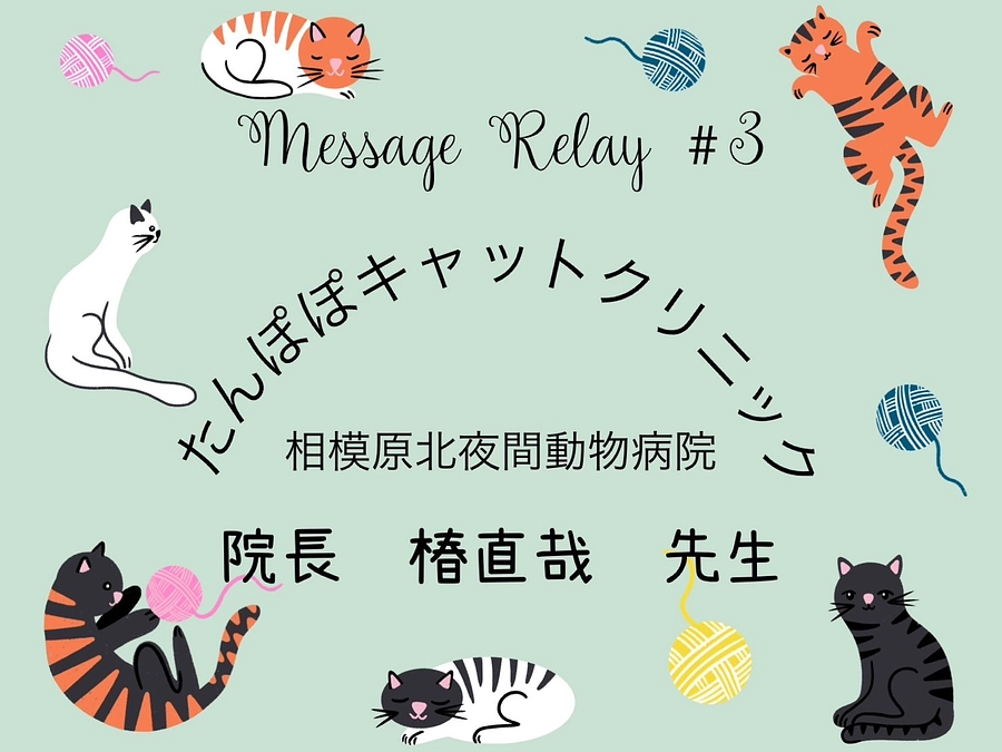 たんぽぽキャットクリニック 椿院長よりご挨拶