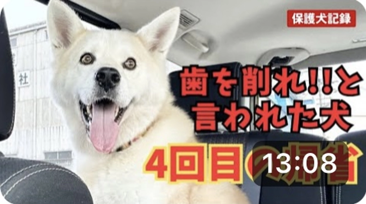 歯を削れ!!と言われた大ちゃん4回目の帰省