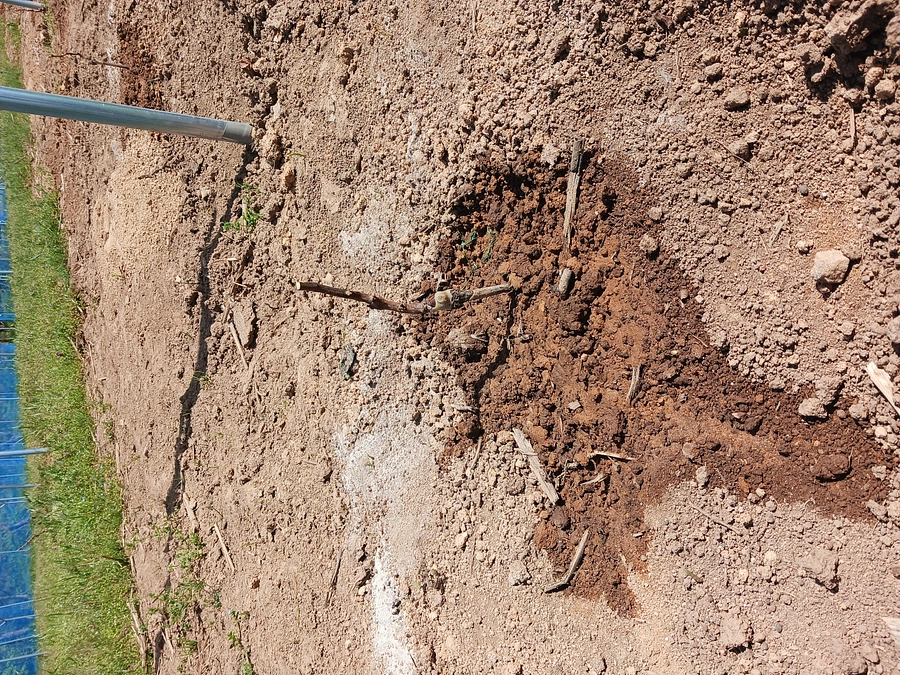 明日で【最終日】です！